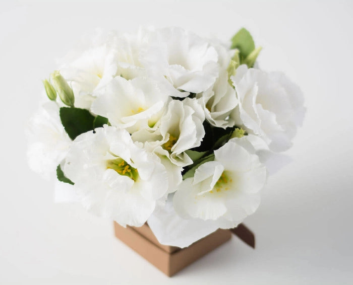 Arranjo Pequeno de Lisianthus