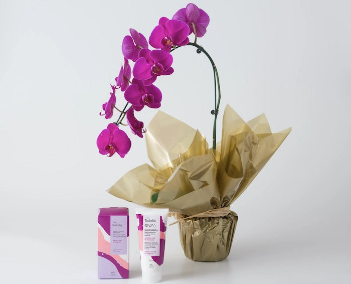 Orquídea Phalaenopsis Pink e Kit Natura Tododia Ameixa e Flor Baunilha